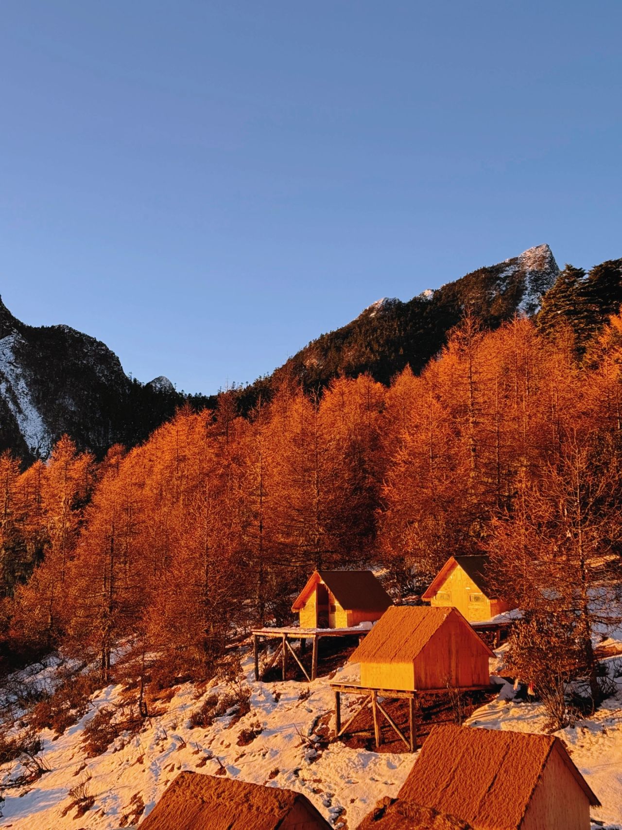 想看看户外人⛰️相册里的2023初雪❄️