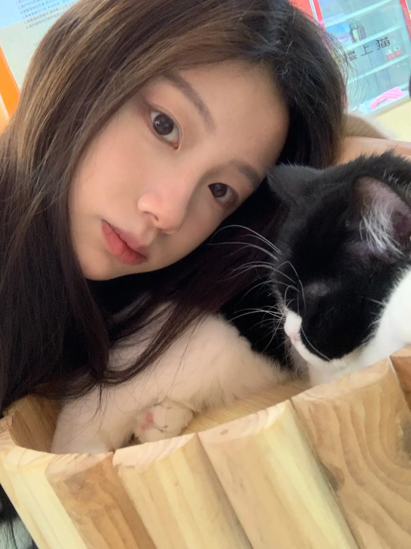 好可爱～完蛋！被猫猫包围了