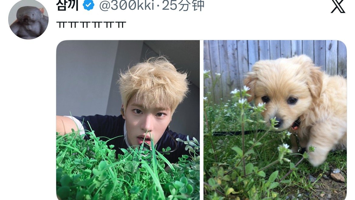 🐕 