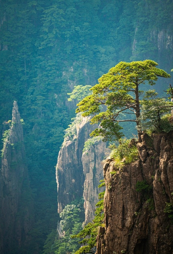 黄山不止迎客松 ​​​