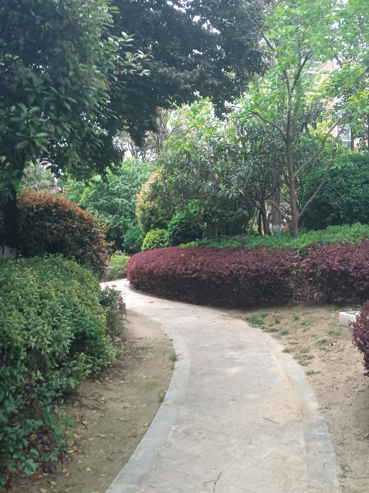 人和天地小区，绿化真的不错，枝繁叶茂，曲径通幽，犹如进了森林一般。说实话，都有点