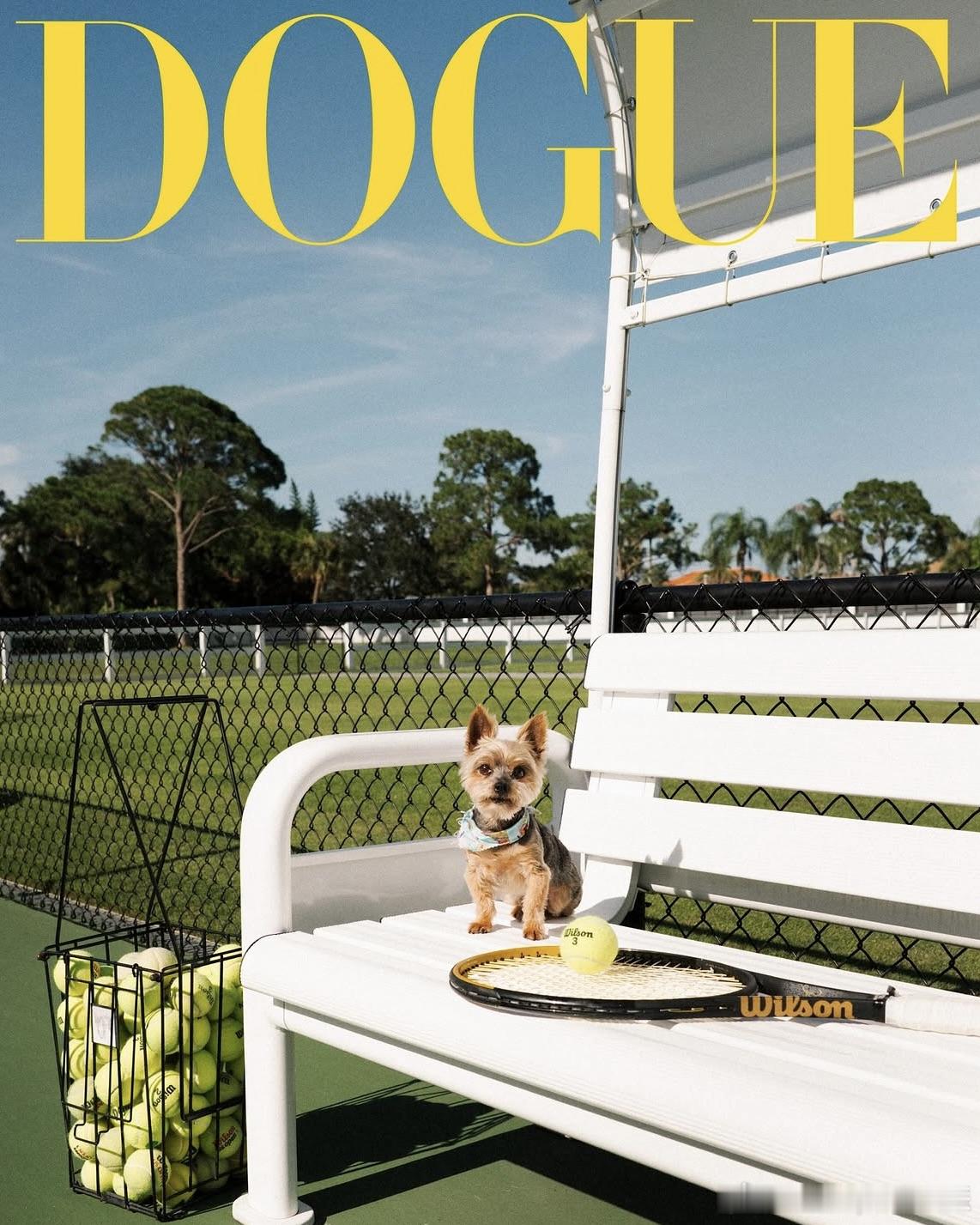 小威廉姆斯的爱犬克里斯托弗·“奇普”·拉斐尔·纳达尔登上了《Vogue》杂志🐶
