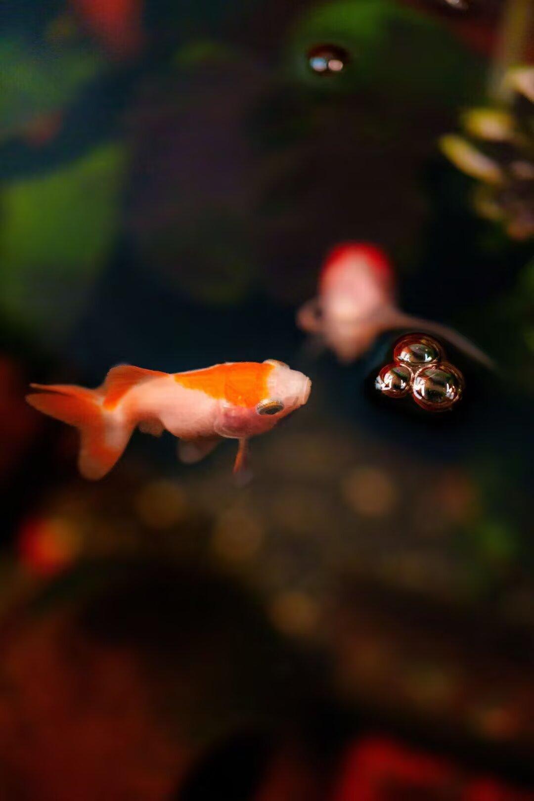 人生没有如果，一眨眼就是一天，一回眸就是一年。一辈子真的很短，都来不及细算，不知