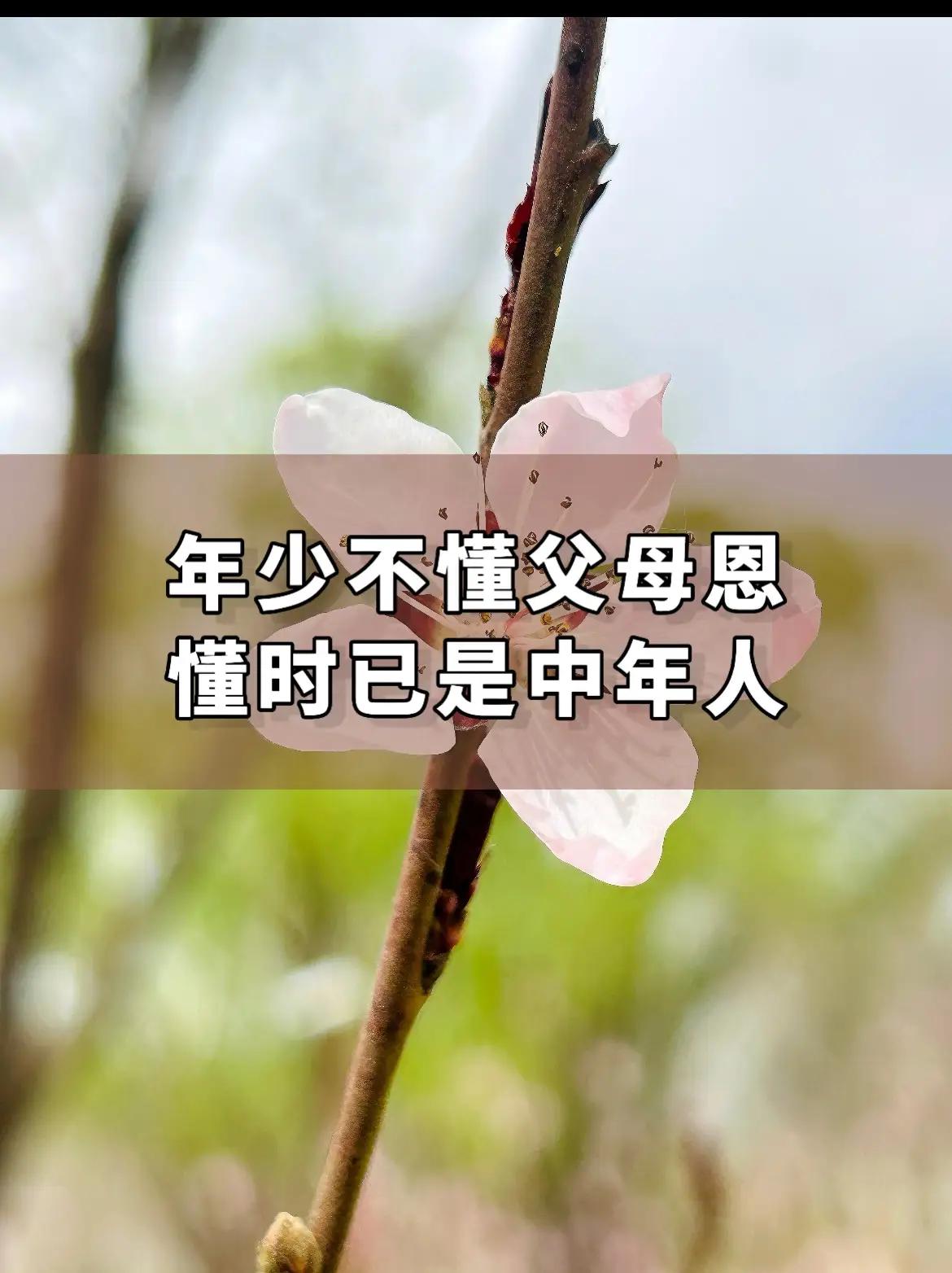 人到中年回头看，才读懂父母存在的真正意义。
人到中年，自己当了父母，才真正看懂了