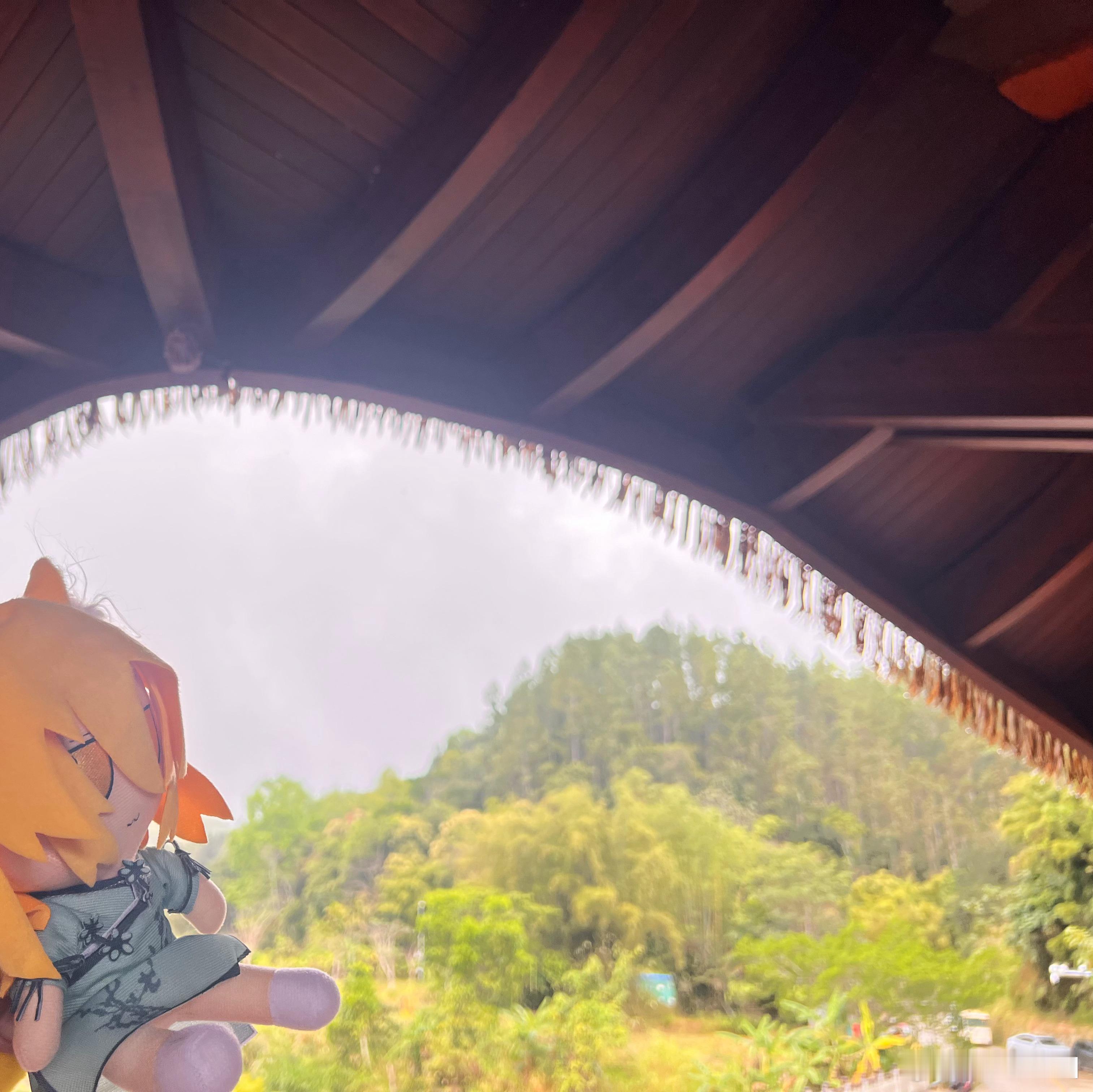 过年一起遛遛弯…… 五指山