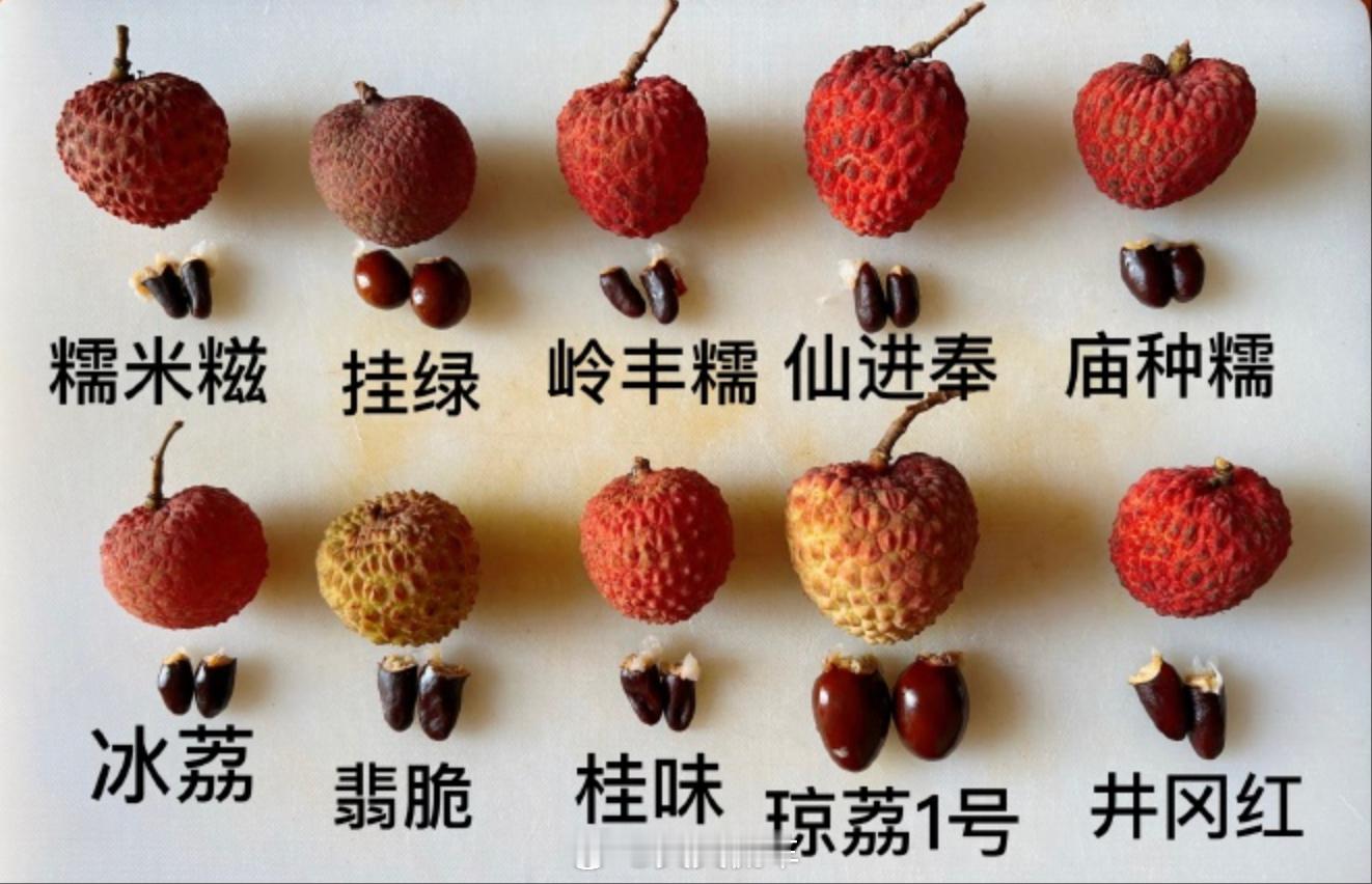 长安的荔枝 最近发现，认清楚吃的啥荔枝可比认车品牌型号难多了......你们自己