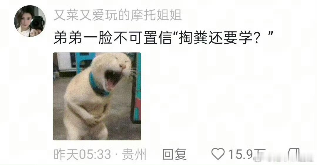 弟弟以为被调剂到下水道通粪专业弟弟是纯正大学生，鉴定完毕！ 