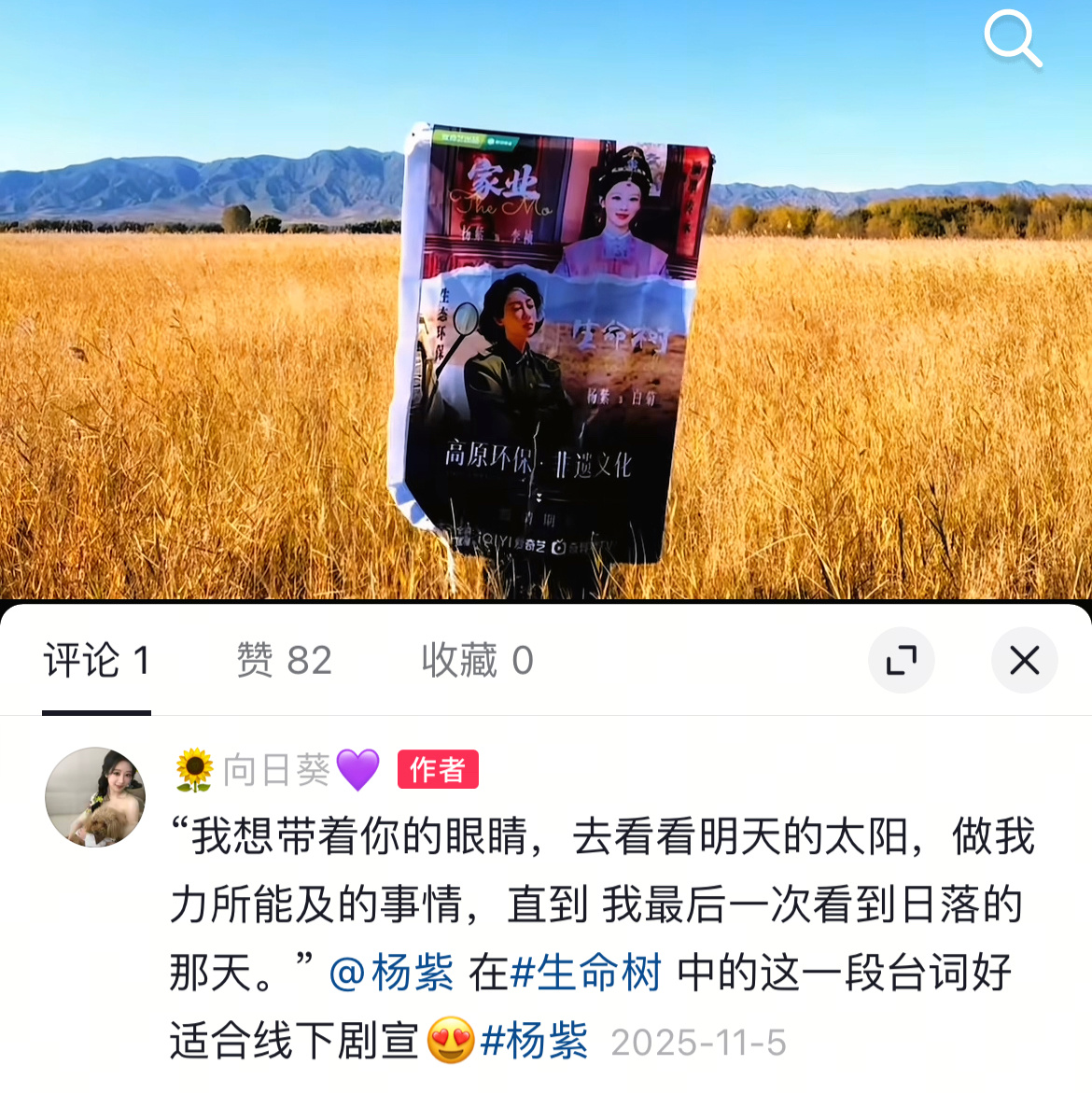 杨紫 “我会做我力所能及的事情 直到 我最后一次看到日落的那一天”🥹敬 懂得