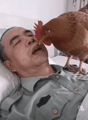 这绝对是AI生成的，不然这只母鸡绝不会在这位保安大爷嘴巴里面生鸡蛋！