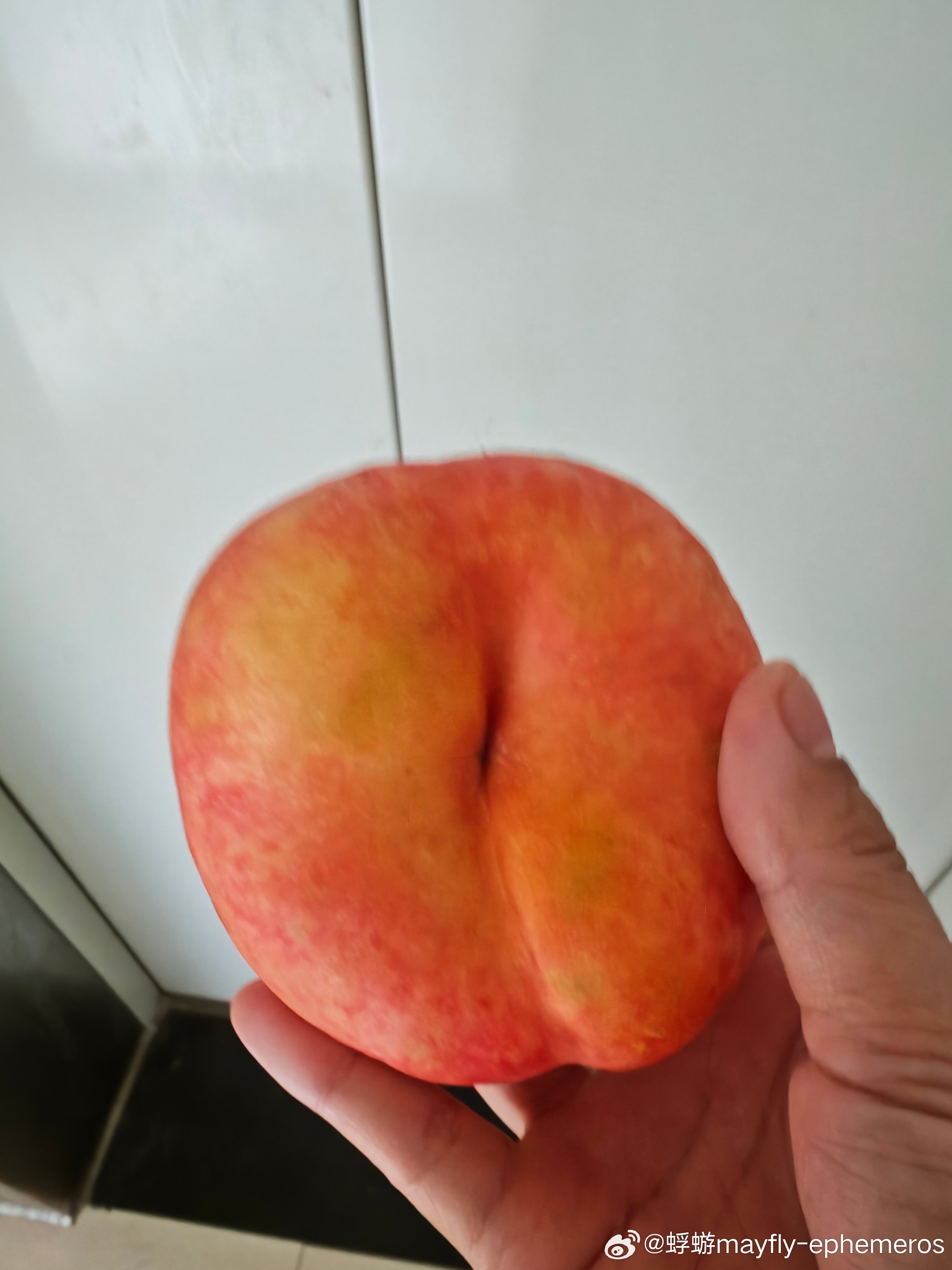 小小孩的心眼儿真的都长在吃的上面了我拿了个桃子准备下午吃随手放在玄关柜上就开始换
