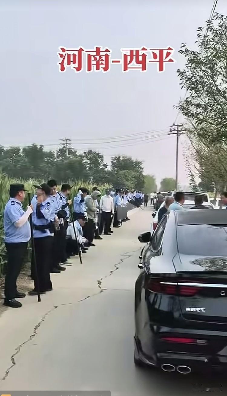 看来河南西平夏付钢确实是在玉米地呢，不然这都一周了，不可能玉米地周边的人越来越多