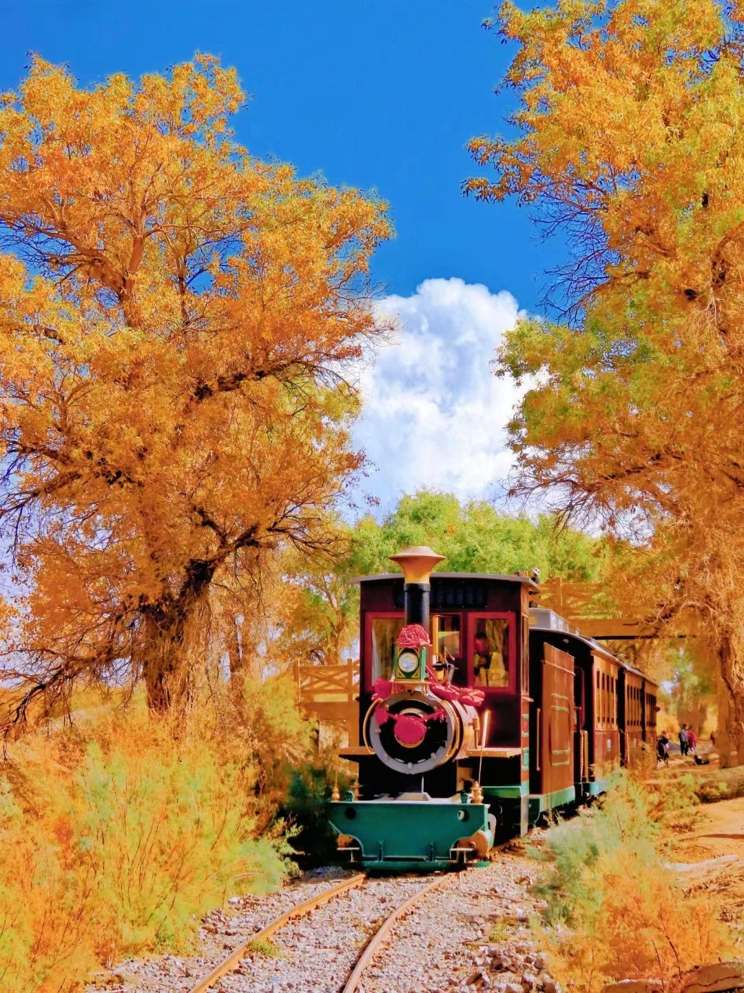 下一站，新疆的秋天🍂南疆赏秋攻略