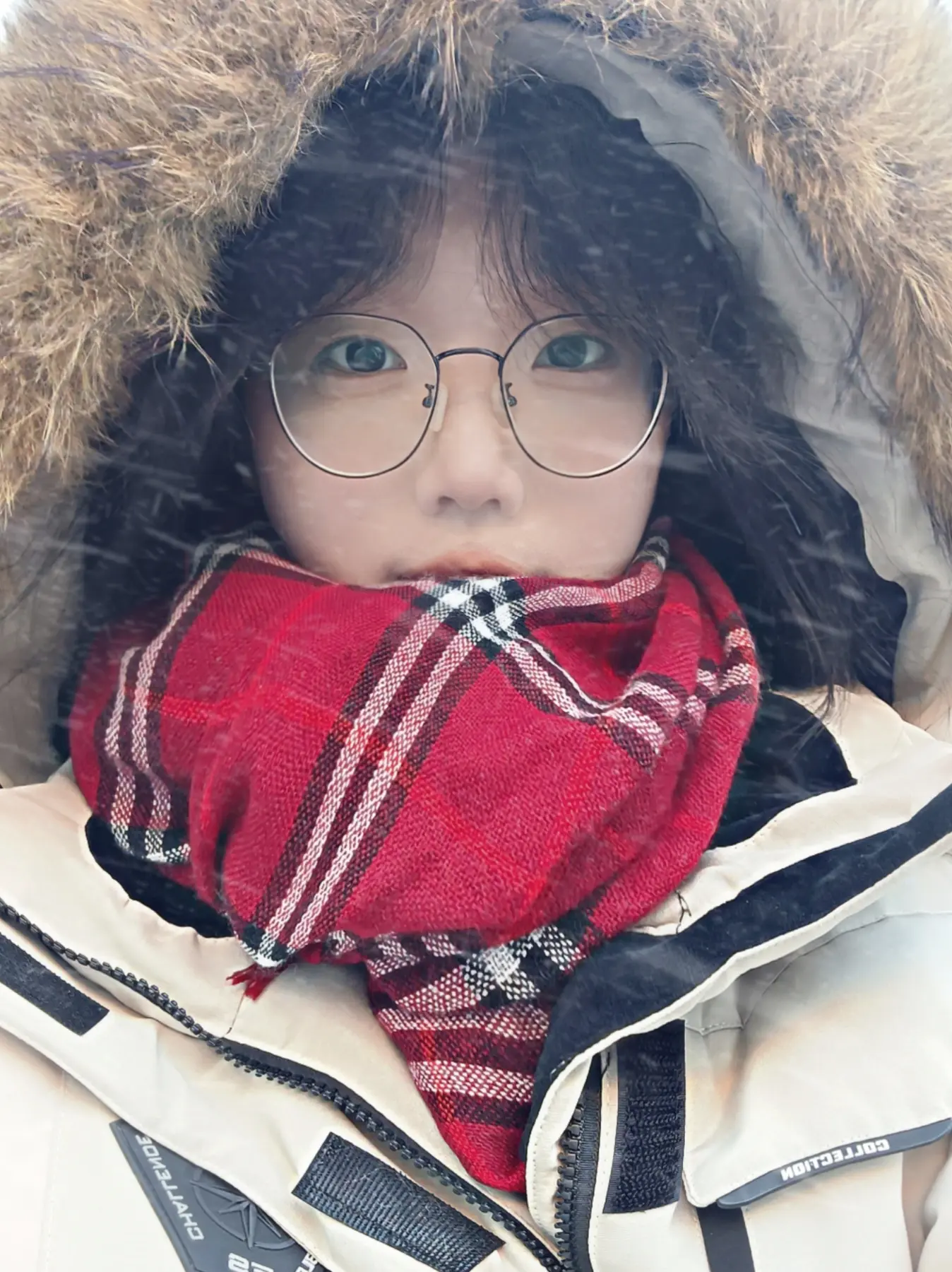 少爷 今年还是我吗