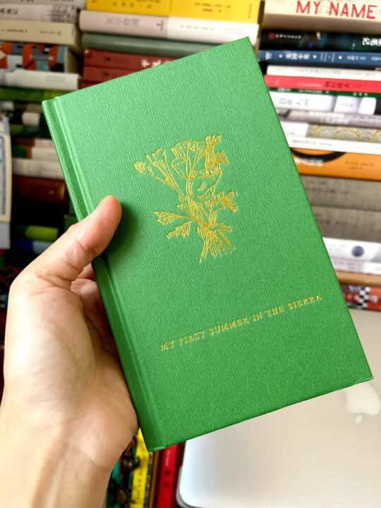 巨治愈！这本书真的出乎意料地好看🙏