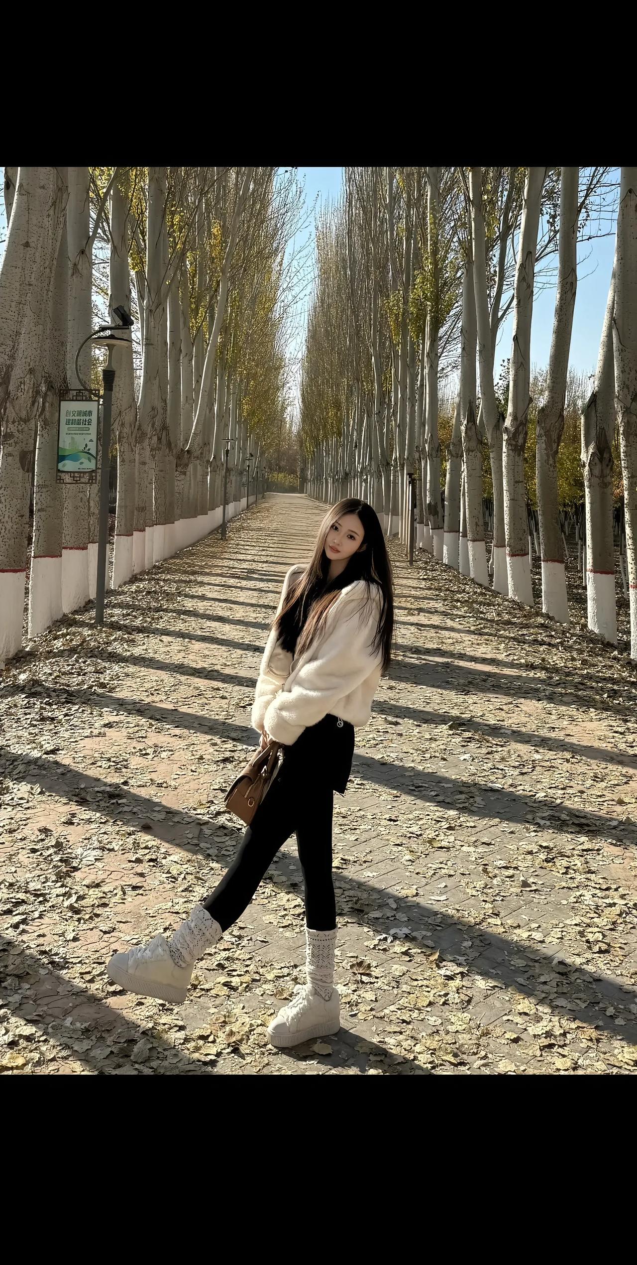 秋风落叶舞，美人倚树行。