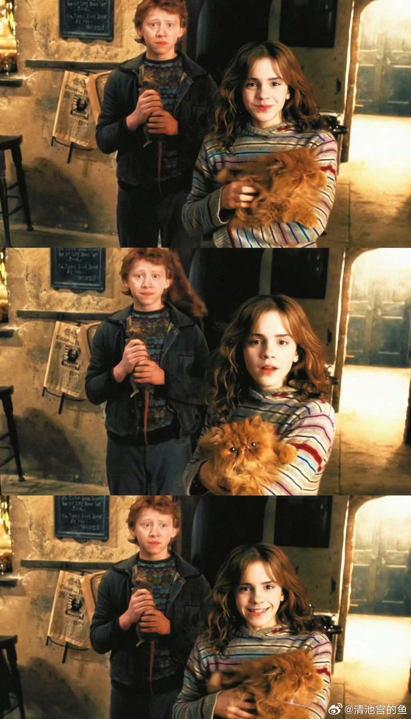 今日日运：丙午 辛卯 戊子犯桃花🌸容易动心适合追星，二次元也行 