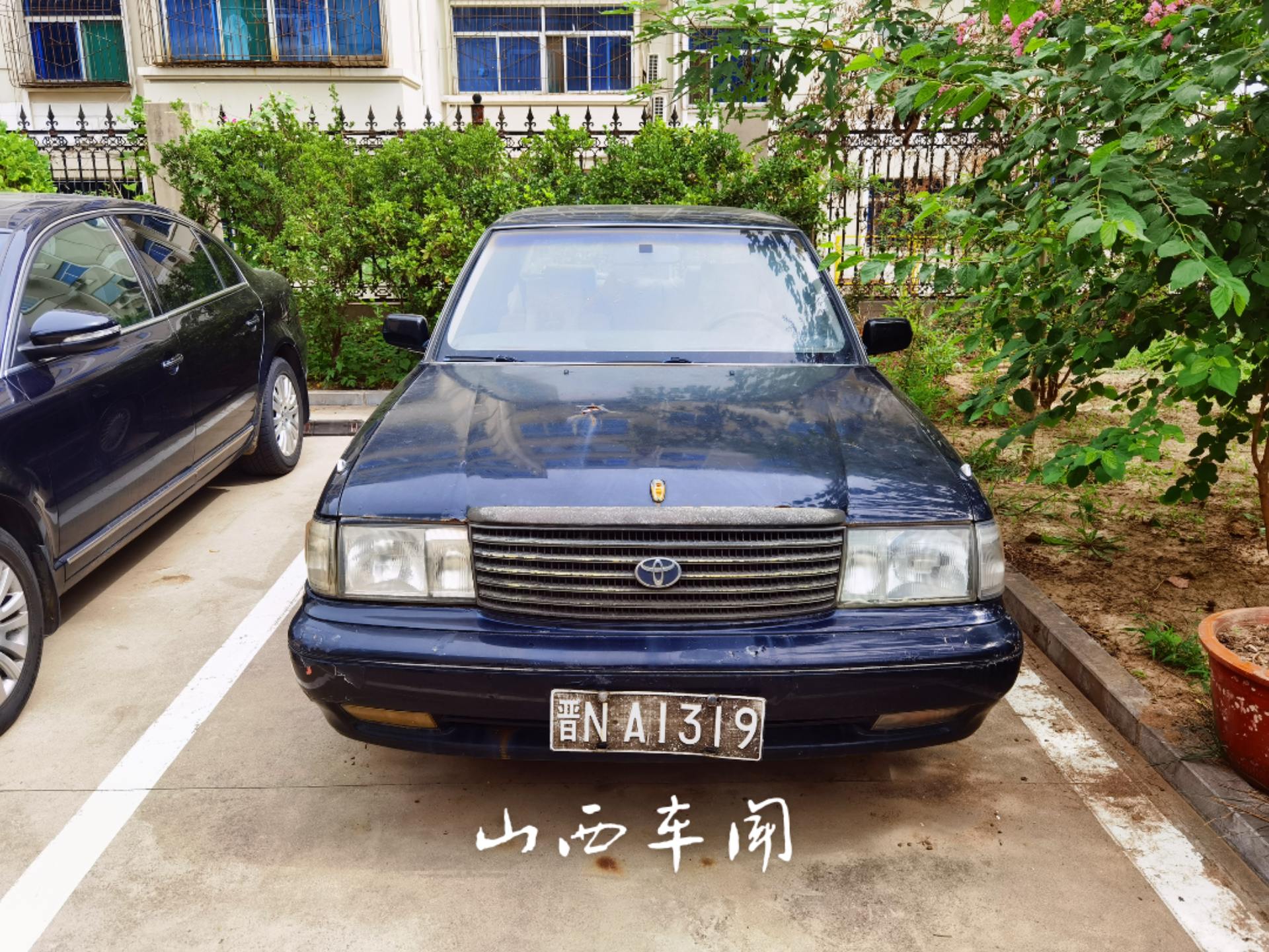 好久没见你了老伙计