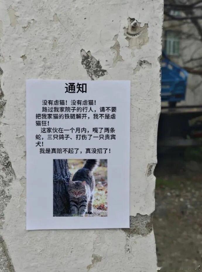 栓脖的猫，绑腿的马，带秤砣的狗，还有坐讲台旁的学生，没有一个是无辜的 