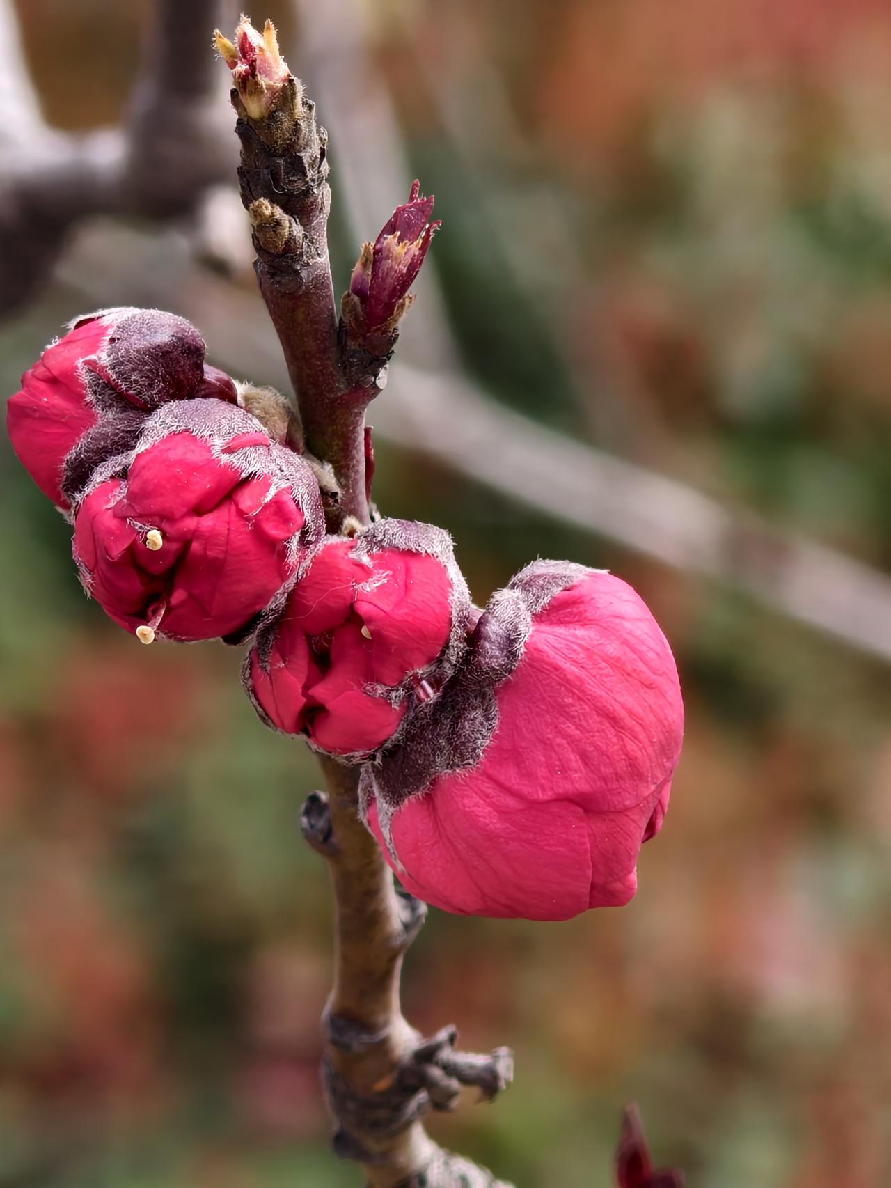 ——遵从本心，便是圆满！
本心即大道 余生要顺其自然 人间本心 本心舒然 温柔内