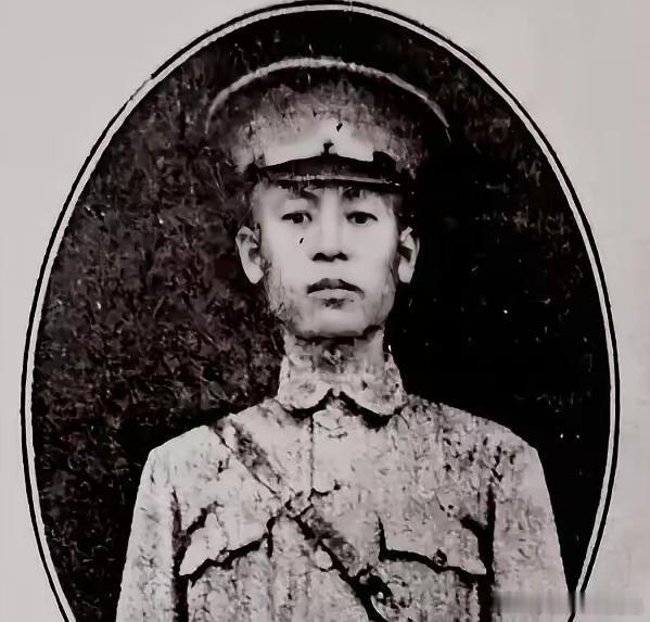 1938 年，徐州陷入了一场生死危机。日军 30 万精锐如饿狼般将 60 万国军