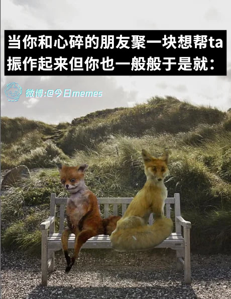 要换座吗（9gag） 今日meme[超话]   