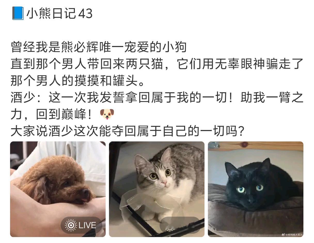接上回小熊日记，酒酒又和鱼爸鱼妈去旅游啦，看来我们酒少没有争过两咪一鸟啊
