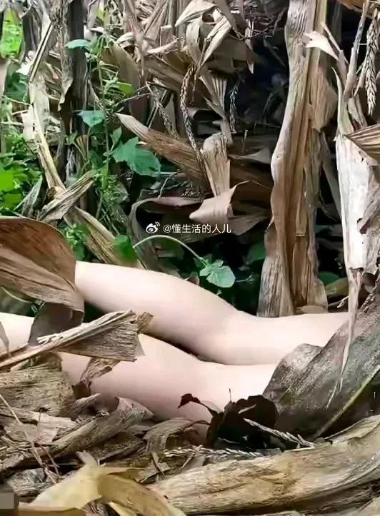 有一个问题，感到很困惑。假如，我们在野外，碰到像图片中这样的情况。请问，我们应该