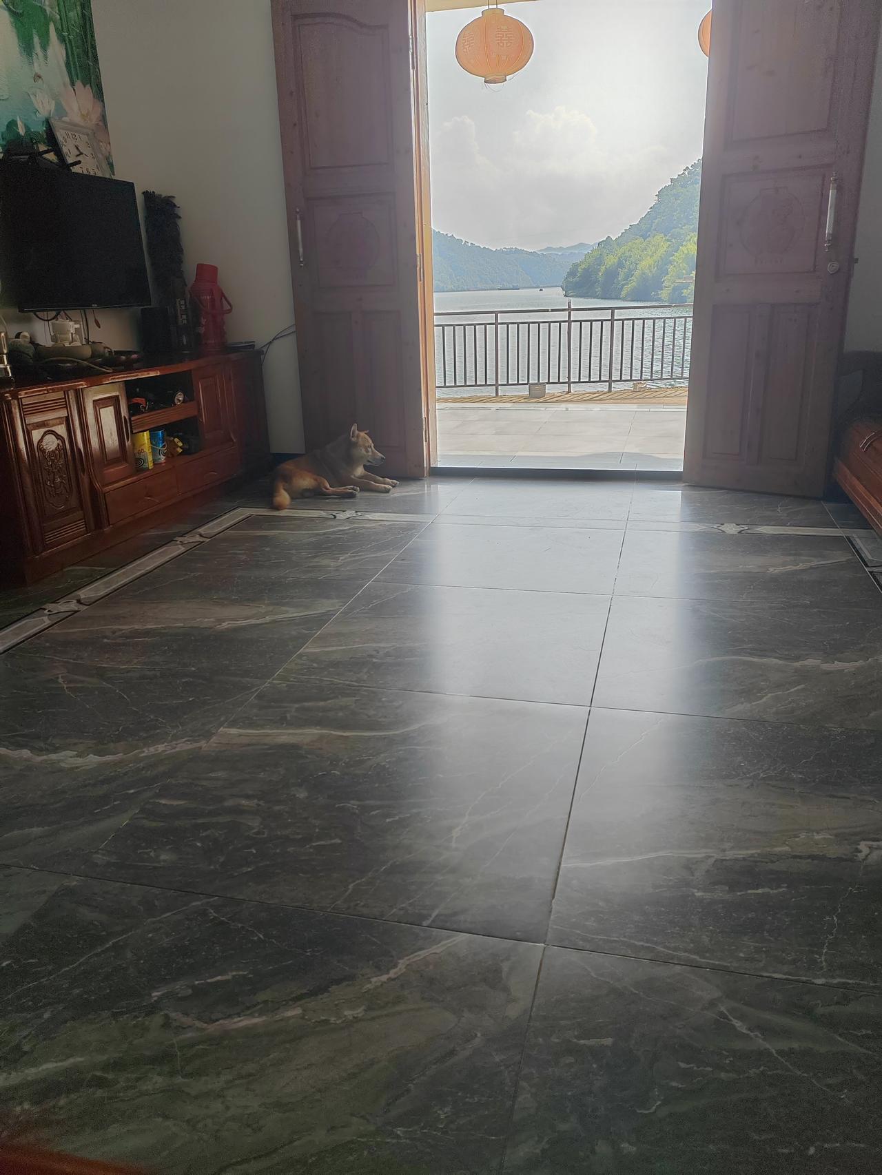 养了一条中华田园犬，外面热，它也知道地板砖凉快，所以躲到门里边，但它仍不失职，双