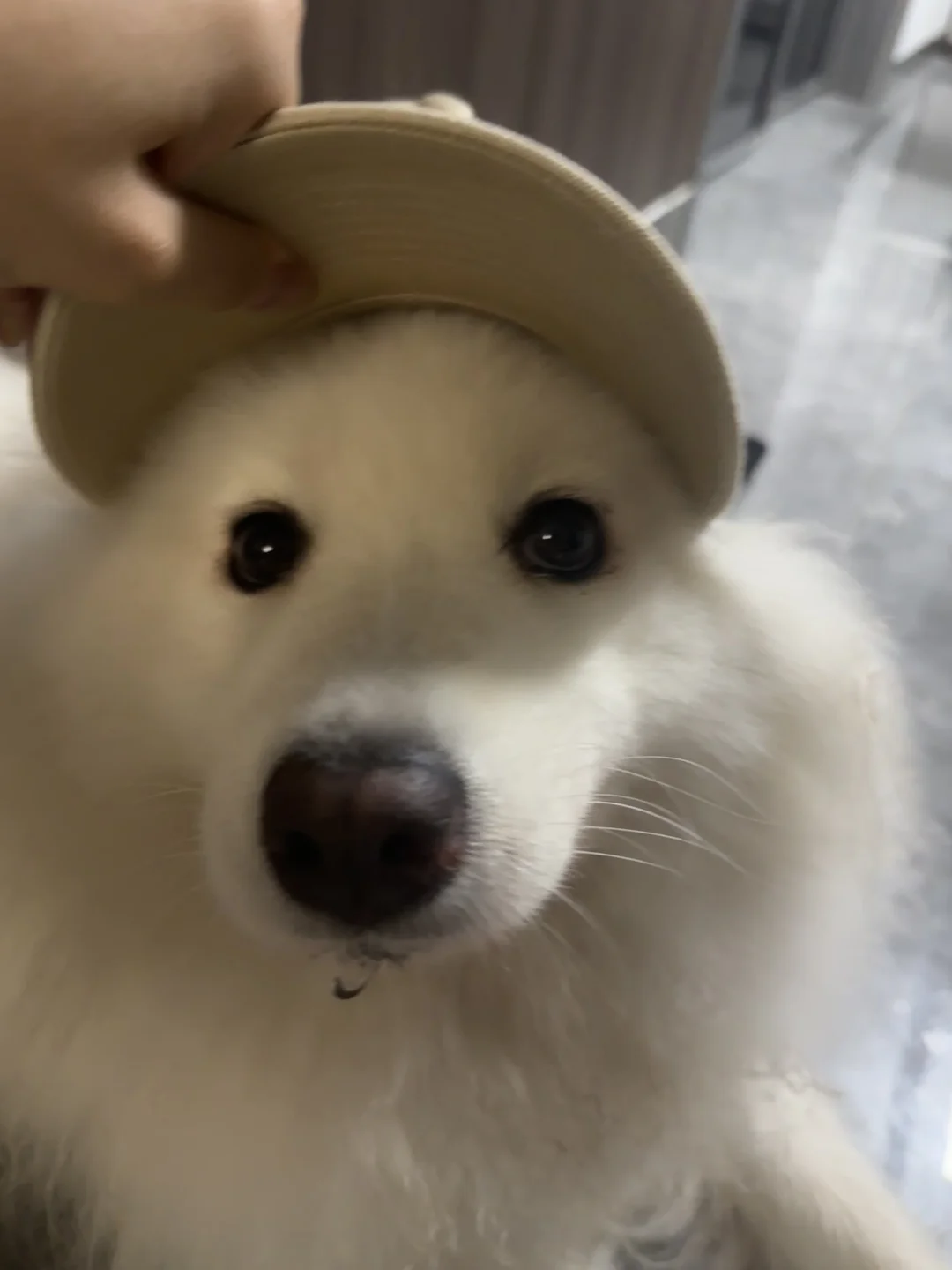 姨姨们 宝宝戴帽子好看吗