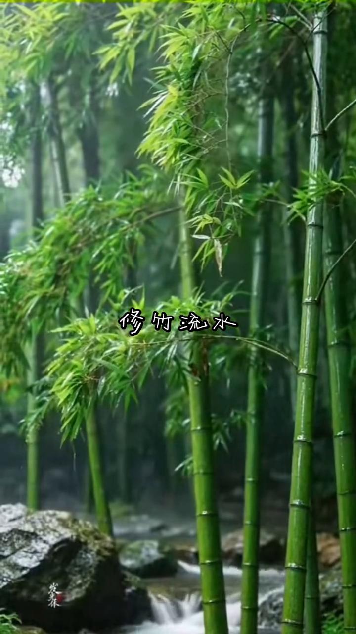 修竹流水。