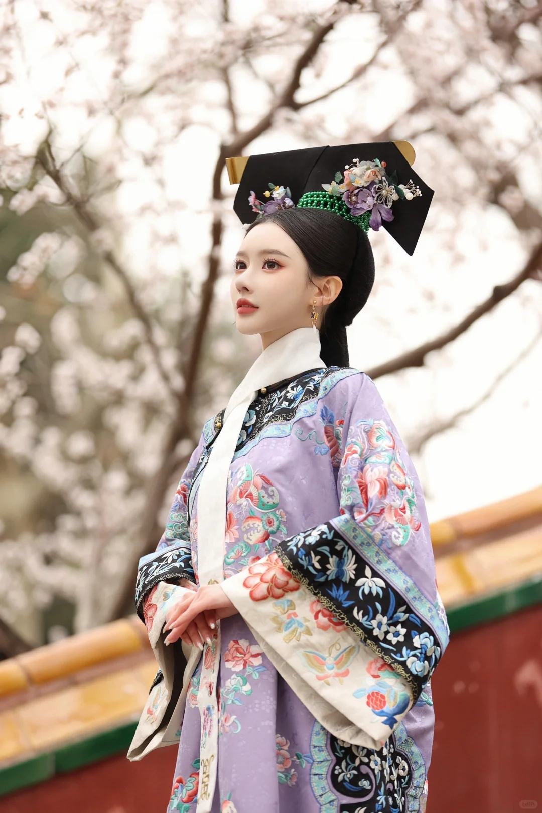 赏花