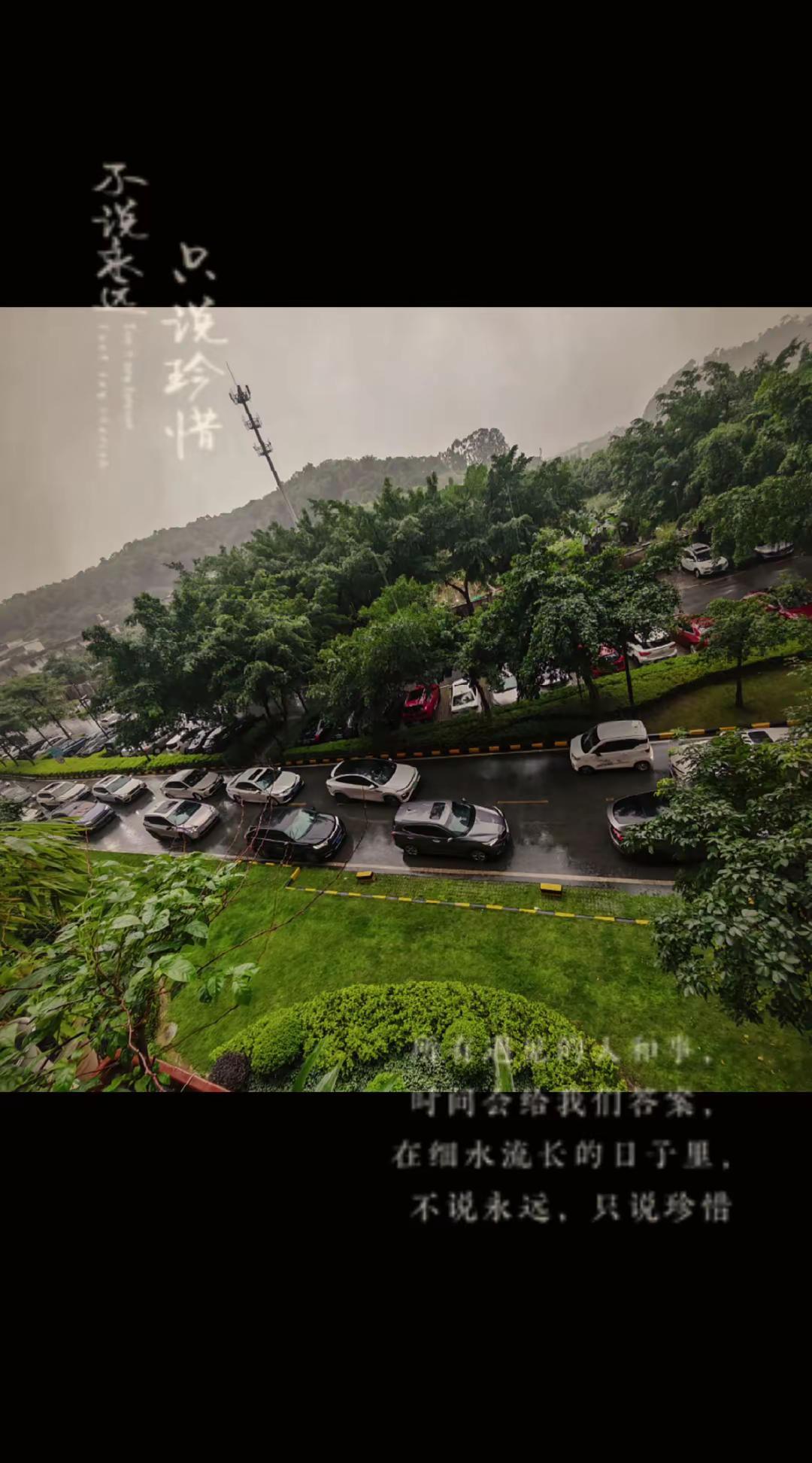 雨天看山景