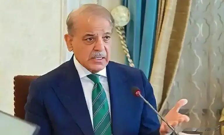 天啊！
巴基斯坦部长直言不讳！
发言太敢说了！
直接点破中巴经济走廊的现状：因为