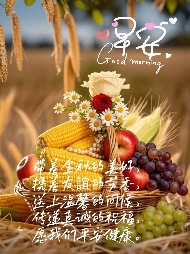 岁月如歌，时光荏苒，
曾经的青涩，化作成熟的印记。
在这漫长的岁月长河里，
我更