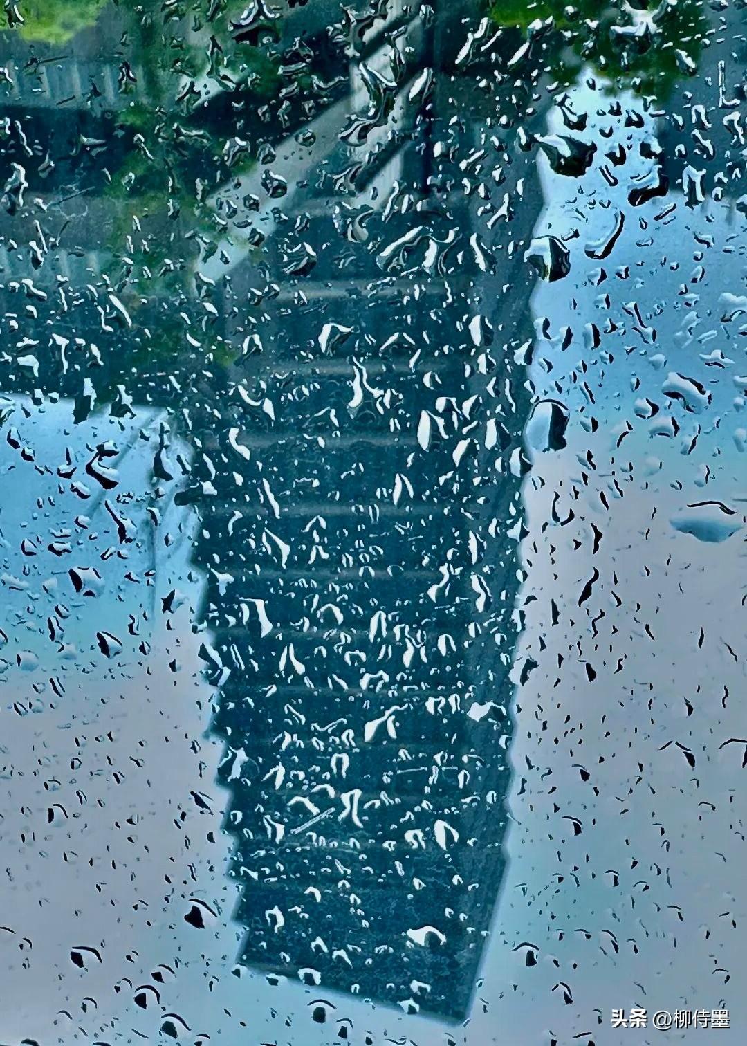 夏天就是热。下过雨，还能稍微缓解一下暑气。
路边的玻璃窗湿了，汽车的机器盖子、广