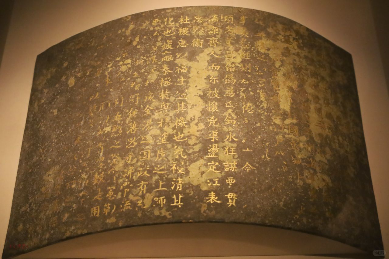 有9次机会的免S金牌长什么样