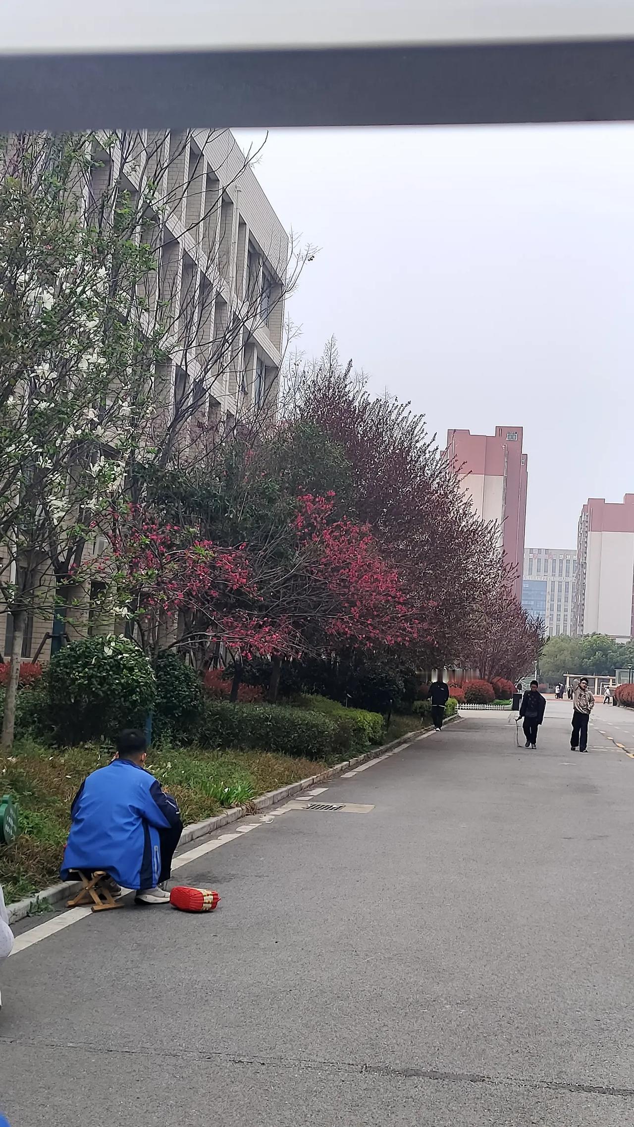马上快二模了，也不知道南阳的初三家长们紧不紧张？反正我是有一点。

起初觉得日子