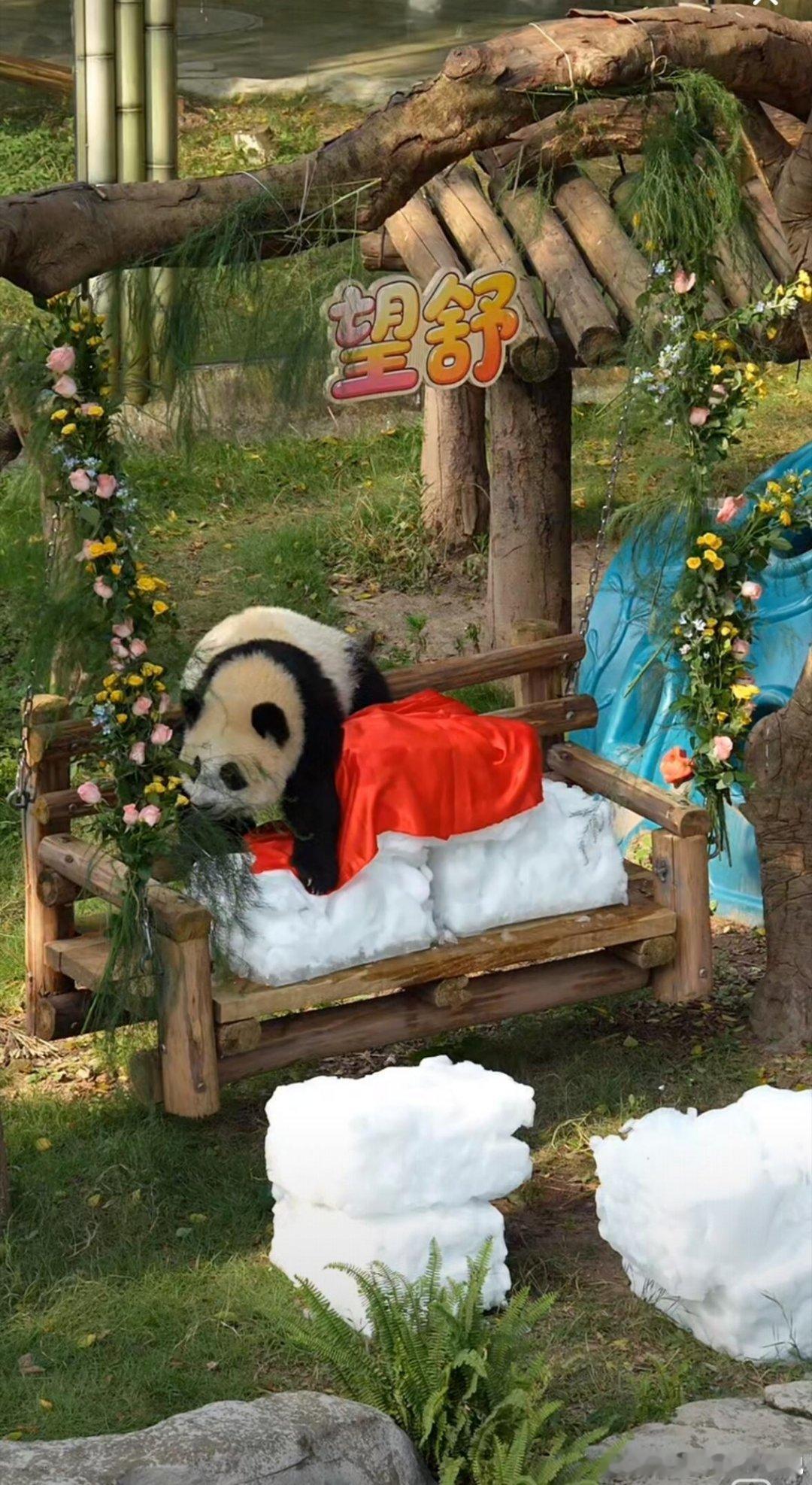 报！小月亮终于有大名了！望舒！希望他一生舒心顺遂！望舒是神话里的月亮女神，是不是