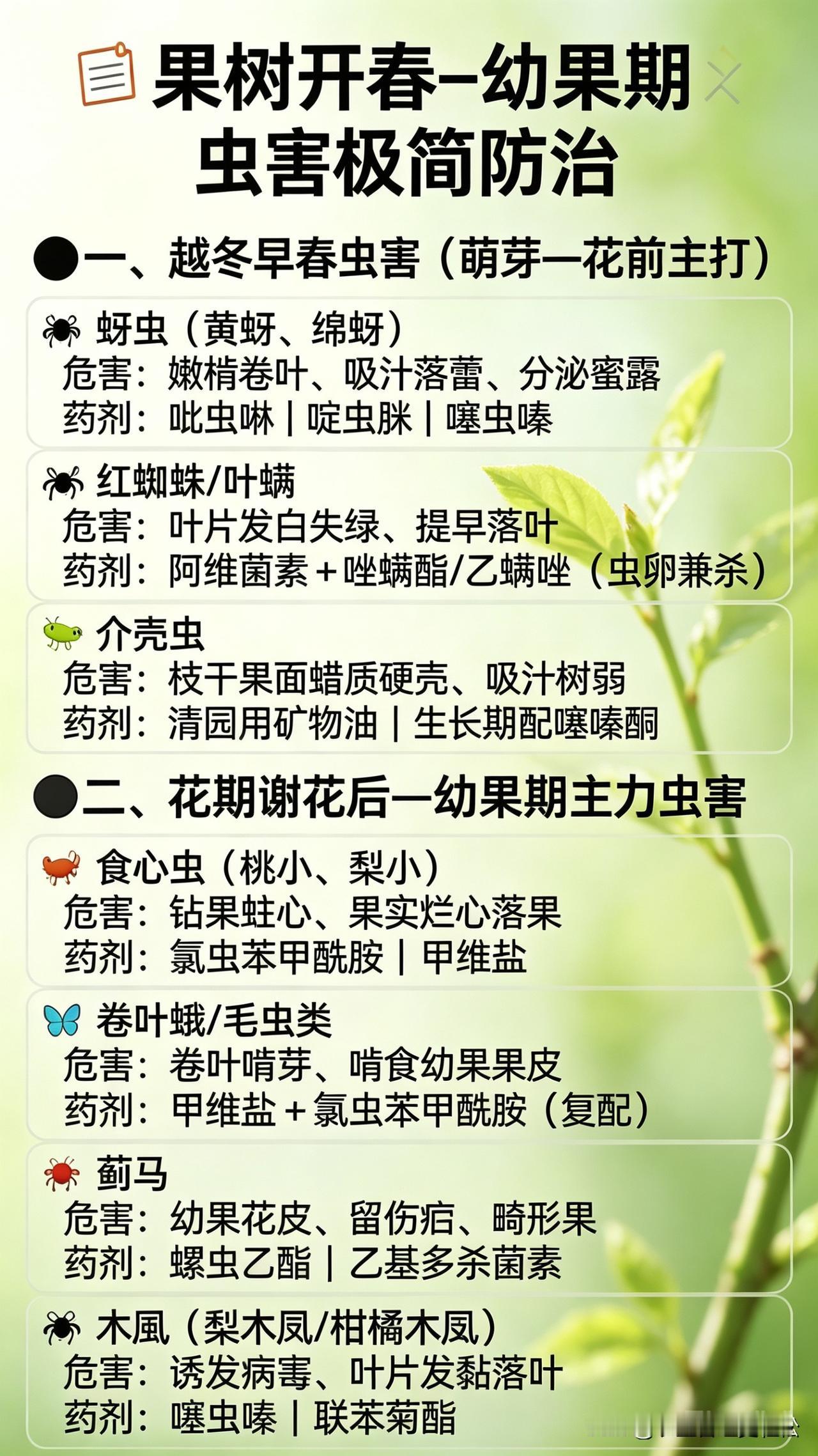 早春果树虫害防治要点预防病虫害方案 春季果树养护 预防植物虫害 农业植物病虫害 