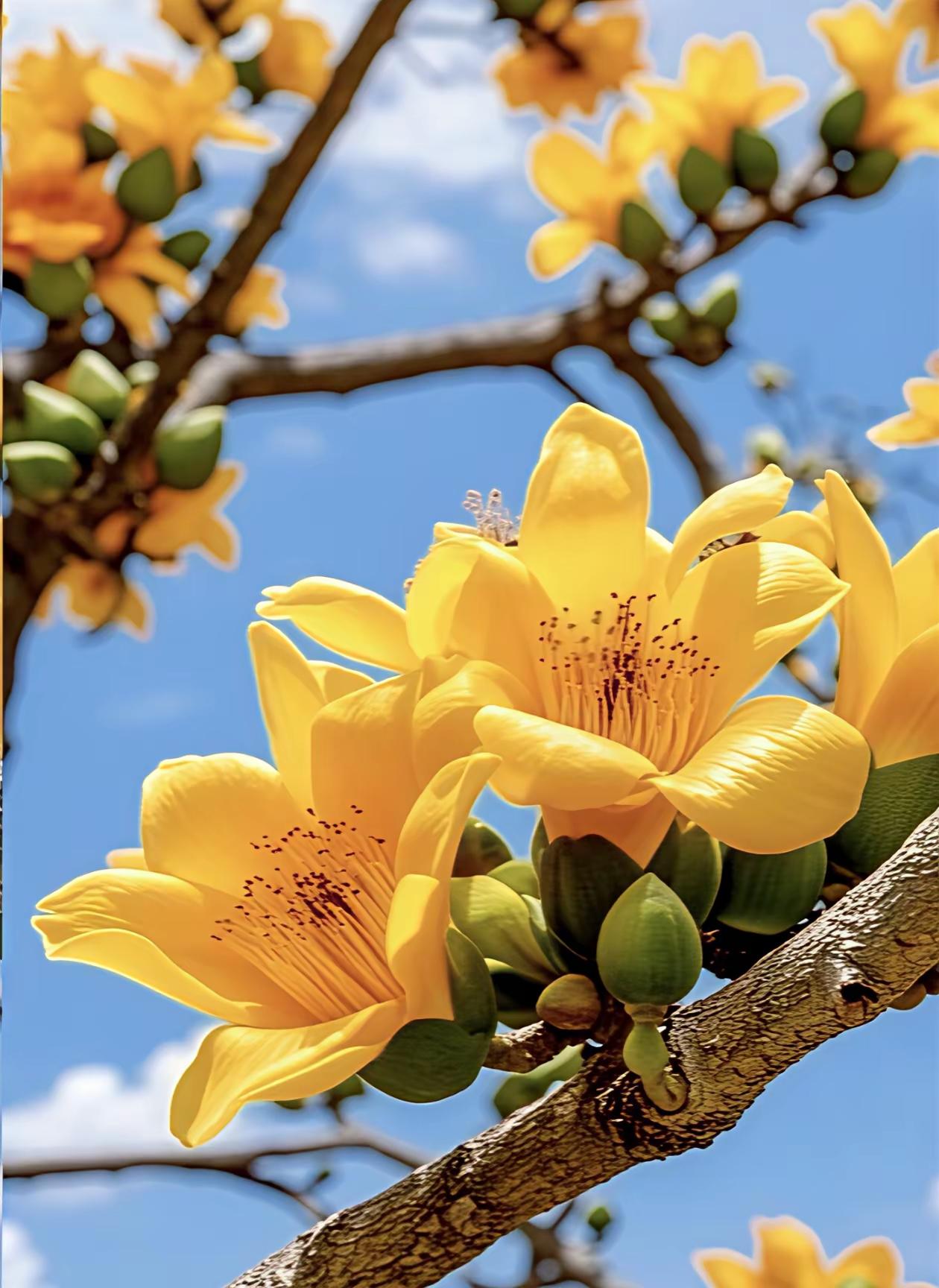 在平凡的日子里找到快乐
 
快乐，不是远方的盛大，
而是烟火里的小确幸，日常中的