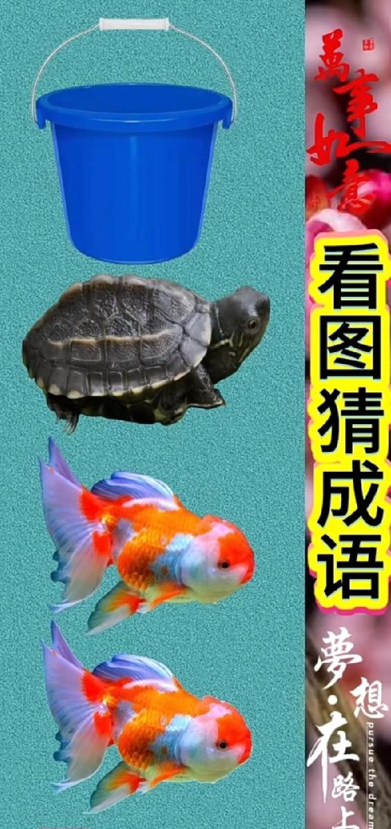 桶、乌龟、两条鱼，你能看出是什么成语吗？