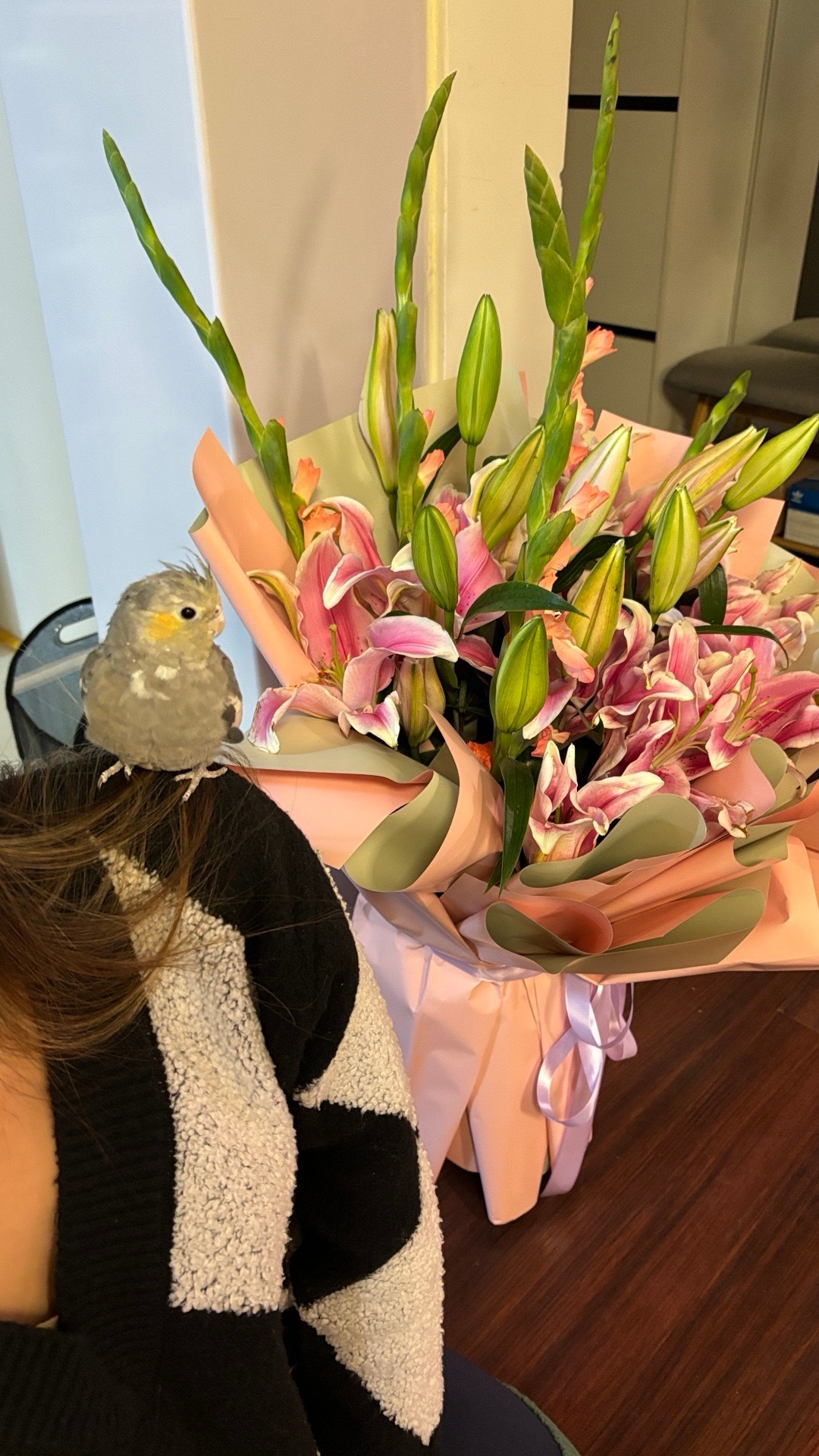 #室友的宠物# 家里来了新宝贝：玄凤鹦鹉🦜 养宠物和养孩子一样，原来可爱如此治