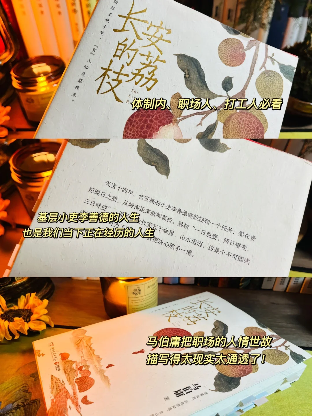 《长安的荔枝》