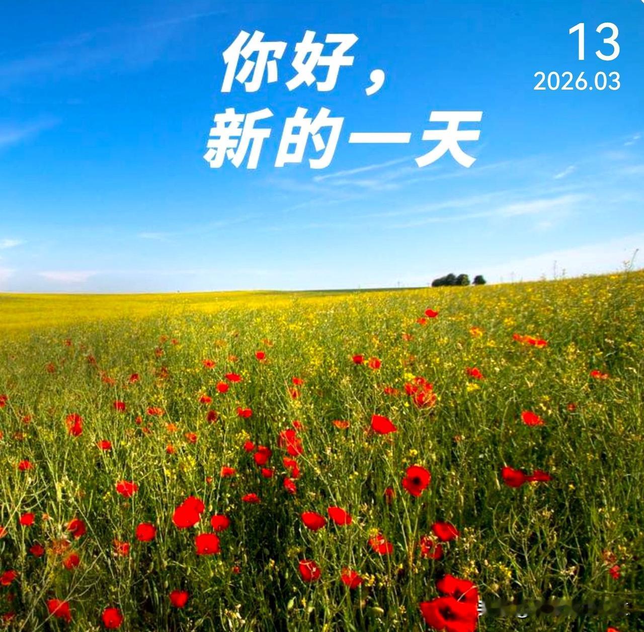 内心有光之人，才是真正的智者。那种光是柔和的，足以控制自身的情绪。做一个内心有光