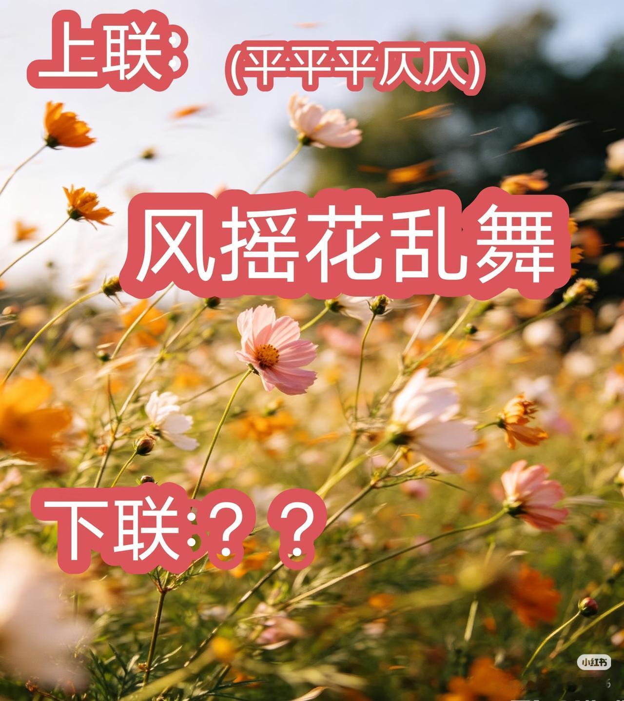 上联：
（平平平仄仄）
风摇花乱舞，
下联：？？