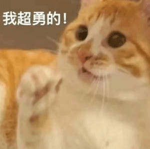 外卖小哥电梯逆行飞身扑倒嫌犯 平凡英雄太给力！取餐路上遇抢夺案，小哥果断逆行追凶