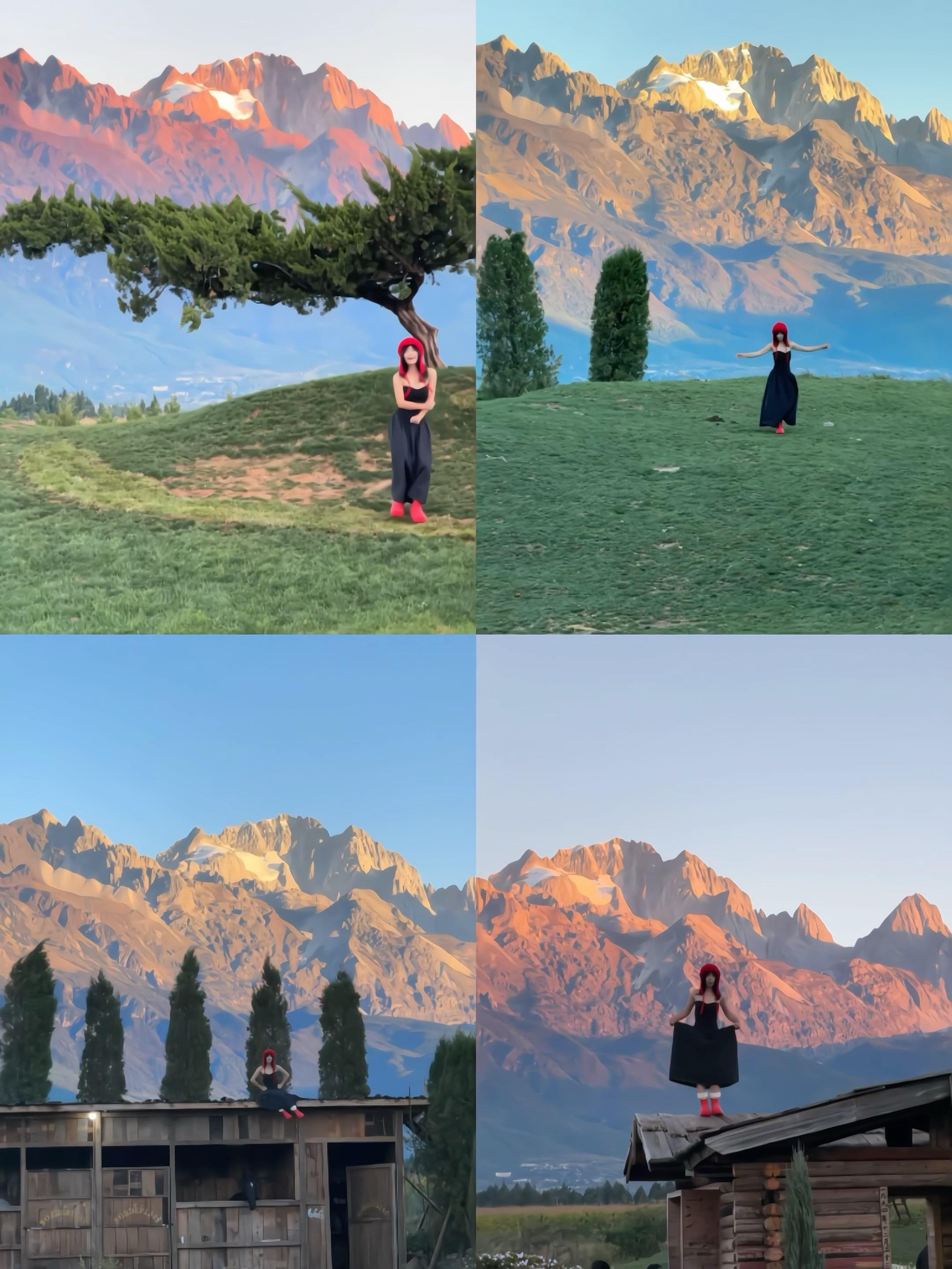 为了这个棵树再去一趟丽江 香巴拉牧场实况