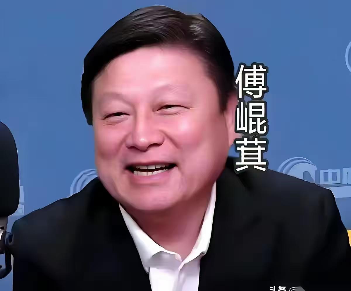 傅崐萁别提有多兴奋了！
 
说白了，就是傅崐萁当上了国民党的副秘书长，虽然是负的