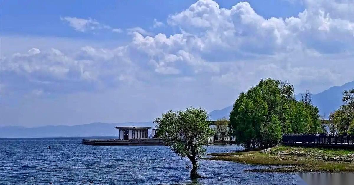 网上那段话说退休了断绝社交，在家把地擦得锃亮，心就亮了，日子就自在了。
我跟你说