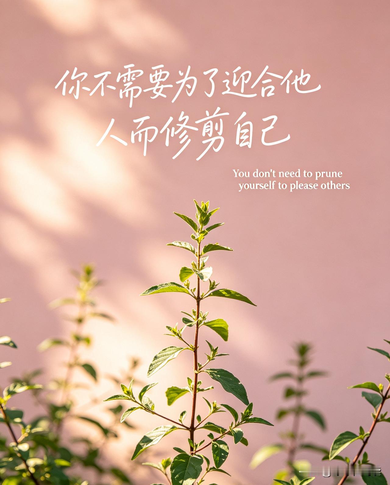 你不需要为了迎合他人而修剪自己✨
 
人这一生，最没必要的内耗
就是为了讨好别人